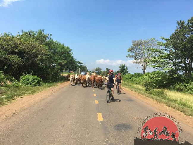 Myanmar Cycling Tours