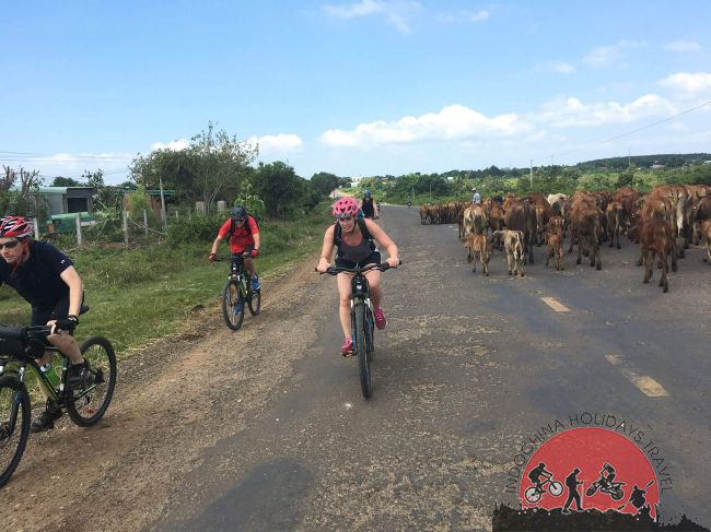 12 Days Northern Vietnam Challeges To Heaven Gate Cycle Tours