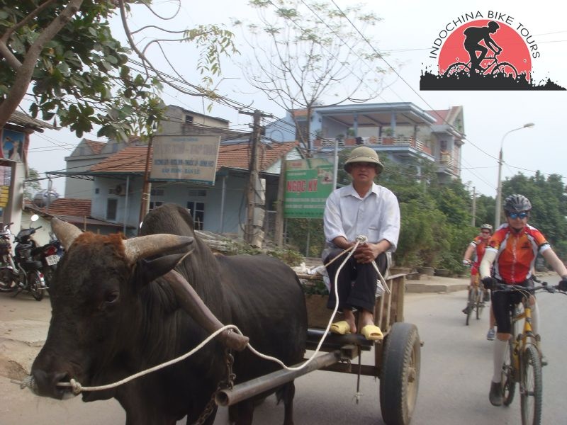 Hanoi Cycling To Perfume Pagoda – 1 Day