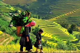 2 Days Sapa Trek Thanh Phu And Sin Chai Villages