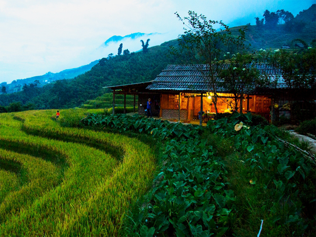 Trekking and Homestay To Lai Chau From Sapa - 2 Days
