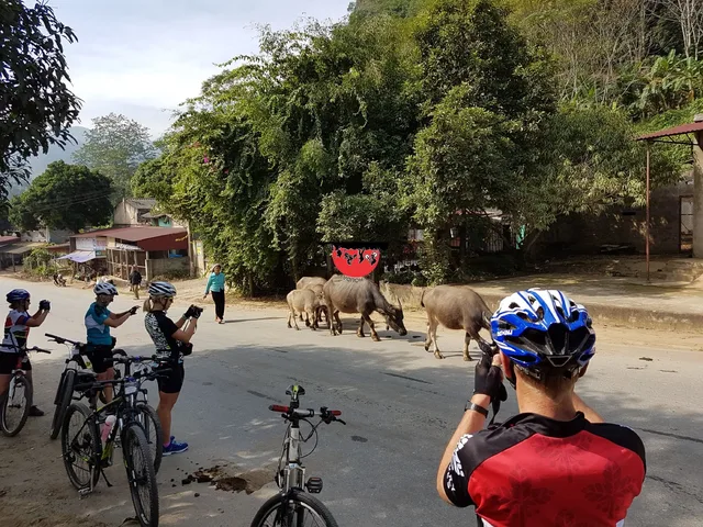 6 Hours Hanoi Experience City Tour and Cooking Class