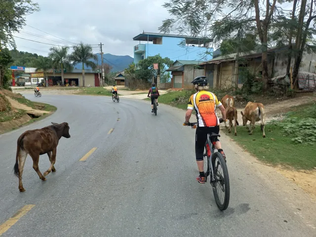 Cycling To Cuc Phuong National Park – Phat Diem Church - 3 Days 3