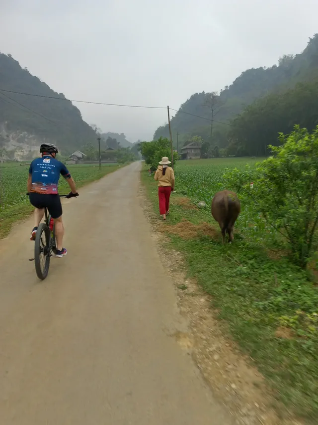 Hanoi Cycling To Villages and Co Loa Citadel - 1 Day 1
