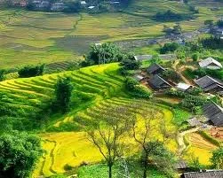 Trekking and Homestay To Lai Chau From Sapa - 2 Days 3