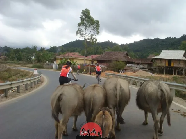 Vietnam Northwest Biking Tour – 9 days 3